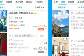 西藏林芝索松村酒店3000元一晚，580元的房间像“杂物间”图片