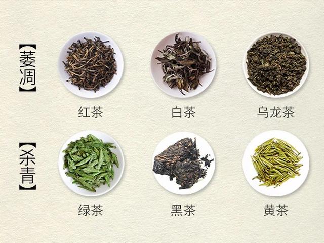 萎凋？杀青？「普洱茶知识」