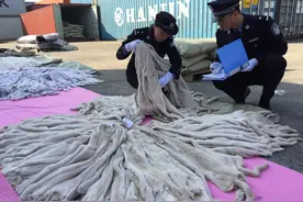 “貂”为什么忽然卖不动了？曾一件上万元图片