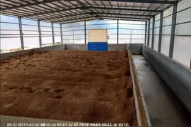 规模养鸡场用发酵床和高热腐熟菌集中处理病死鸡技术图片