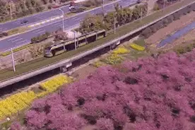 乘着有轨电车，一起打卡高新区的网红美景图片