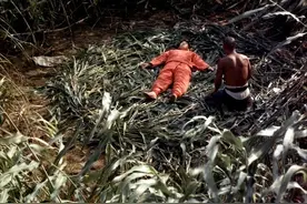 高粱地里的野合，不是浪荡，是对自由的渴望，是对命运的抗争图片