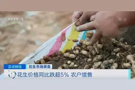 每吨花生降价2000元！工厂库存直接贬值200万！企业忧心忡忡！咋回事？图片