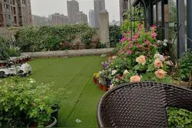 2年前买了个300㎡的露台，打造成屋顶花园，在都市过上了田园生活图片