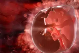 宝宝的脾气随谁？遗传学家：在娘胎里就有所显现，妈妈要早做准备图片