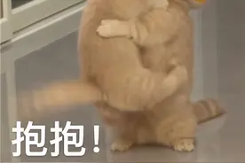 表情包：这谁能顶得住呢图片