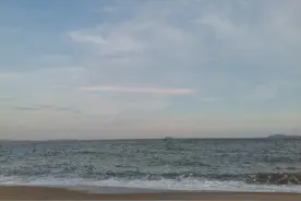 我和大林的日常生活（久别重逢）图片