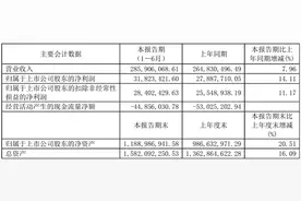 半年报营收净利双增长 喜迎实力机构的建研院（603183.SH）摆不脱股东减持阴云图片