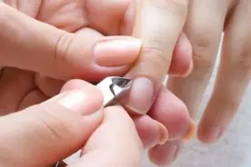 甲脆、甲裂、甲出血……频繁美甲可能伤甲，正规正确操作才有真美图片