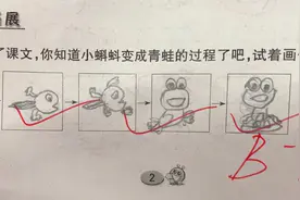 小学生在作业上画“青蛙”，老师看后一脸问号，网友：灵魂画手图片