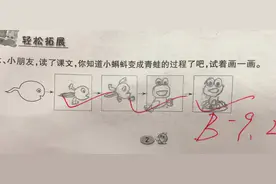 小学生在作业上画“青蛙”，老师看后一脸问号，网友：灵魂画手图片