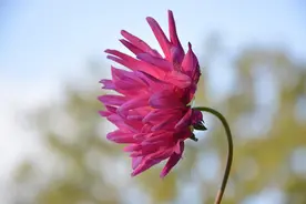 恋爱后，有这3个变化，说明你爱对了人图片