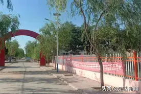 定边县贺圈镇白尔庄村“小甜瓜”托起群众增收致富的“大梦想”图片