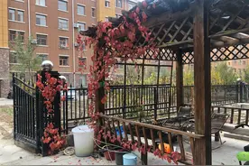 带入户花园一楼的房子，非常喜欢，装修欧式风格特别大气漂亮图片