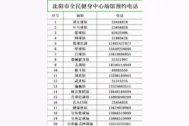 春节期间，沈阳这里免费图片