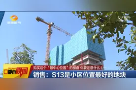 号称“整个片区最中心的位置”，长沙这个盘值吗？图片