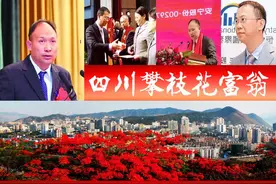 四川攀枝花浮现2位富翁，1人身价百亿？“黑金王子”或告别传奇图片