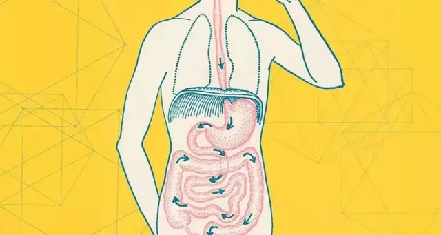 零度可乐里的“阿斯巴甜”，对身体到底是否有伤害？