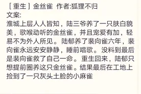 推文《小结巴》雷锋系统……图片