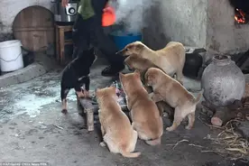搞笑神回复：为啥考古队最害怕挖到矿泉水瓶图片