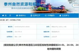 泰州这些地方规划有调整！涉及公园绿地、道路拓宽图片