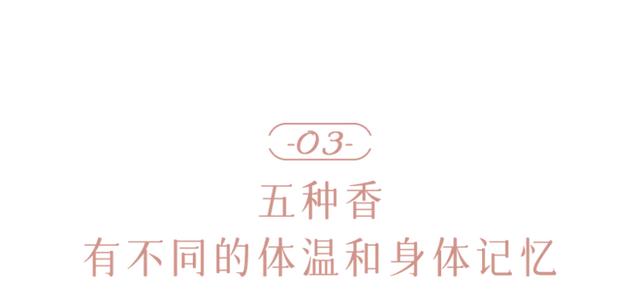 栀子花身体乳体香