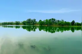 新乡：一水两支景如画图片