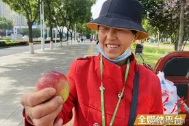 甘肃庆阳“女强人”杨玲宁：独臂撑起一个家图片