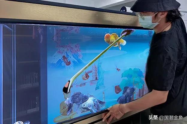 只管放心吃！照顾的事儿交给金鱼管家