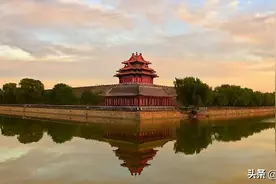 一文解析我武生物图片