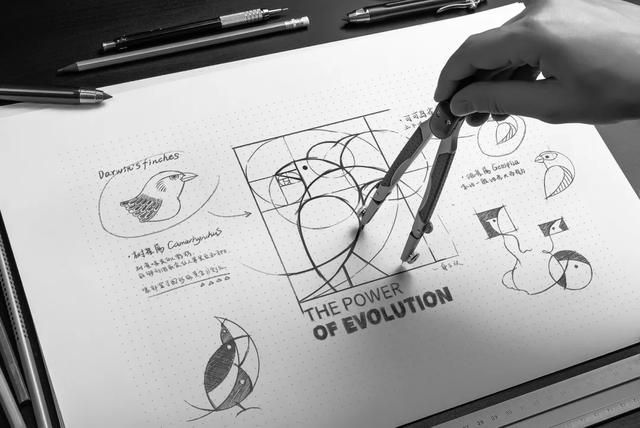 �����Ƴ����Դ�����LOGO��