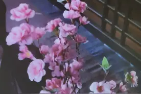 离婚后的男人，再见前妻是悔恨，还是心酸？2个男人说出心里话图片