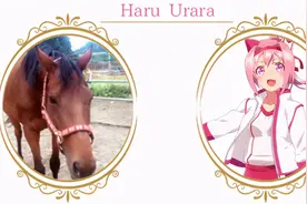 感动无数人的赛马娘，变成了玩家的无情赚钱工具图片