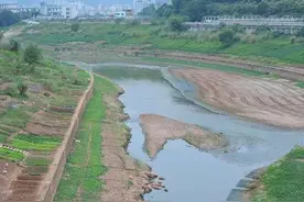 「收回国有土地使用权」行政赔偿诉讼的起诉期限图片