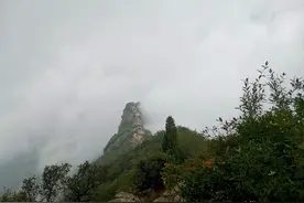 终南山，有一群年轻人在努力隐居图片