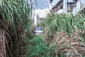 实拍日本冲绳首府街头，锈迹斑斑满是水渍，游客说太冷清图片