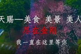 【浏视频】金刚，我一直在这里等你图片
