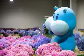 在买花这件事上，上海的阿姨爷叔真拼图片