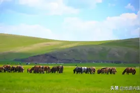 被上帝宠爱的“呼伦贝尔大草原”图片