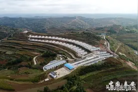 【辉煌 “十三五”】秦安:易地扶贫搬迁让群众过上幸福新生活图片