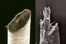 胡子越刮越茂盛？手动剃须刀vs电动剃须刀，放大1000倍看效果图片