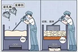 芝士和奶酪只有 1 种区别，不会只有我一个人不知道吧！？图片