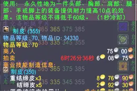 魔兽世界速冲制皮300-375（简单粗暴）图片