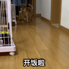 һֻҪǮ