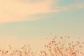 《了凡四训》：行善也是有讲究的，也不是一件简单的事图片