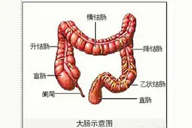 直肠里的大便太脏了，我要每天用手抠出来，这样有危害吗？图片