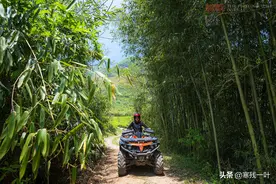 同样是旅游，当你还在走景点买纪念品，他们已经开始这么玩了图片