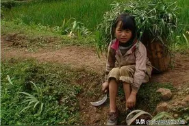 【纪实文学故事集】农村人的童年生活——割草的游戏图片