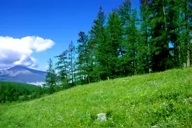 鲜有人迹的雪山圣湖，隐世天堂，藏着图瓦人保守800多年的秘密图片