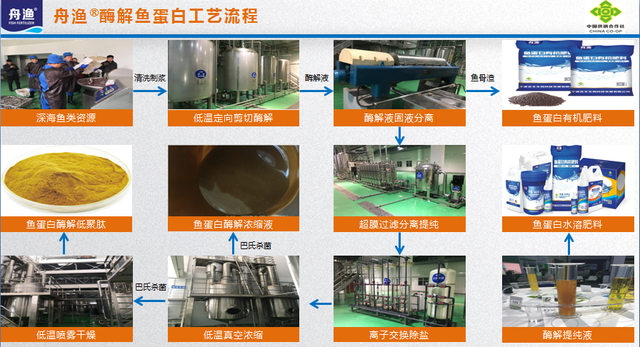 商家鼓吹的鱼蛋白肥料到底是个啥？